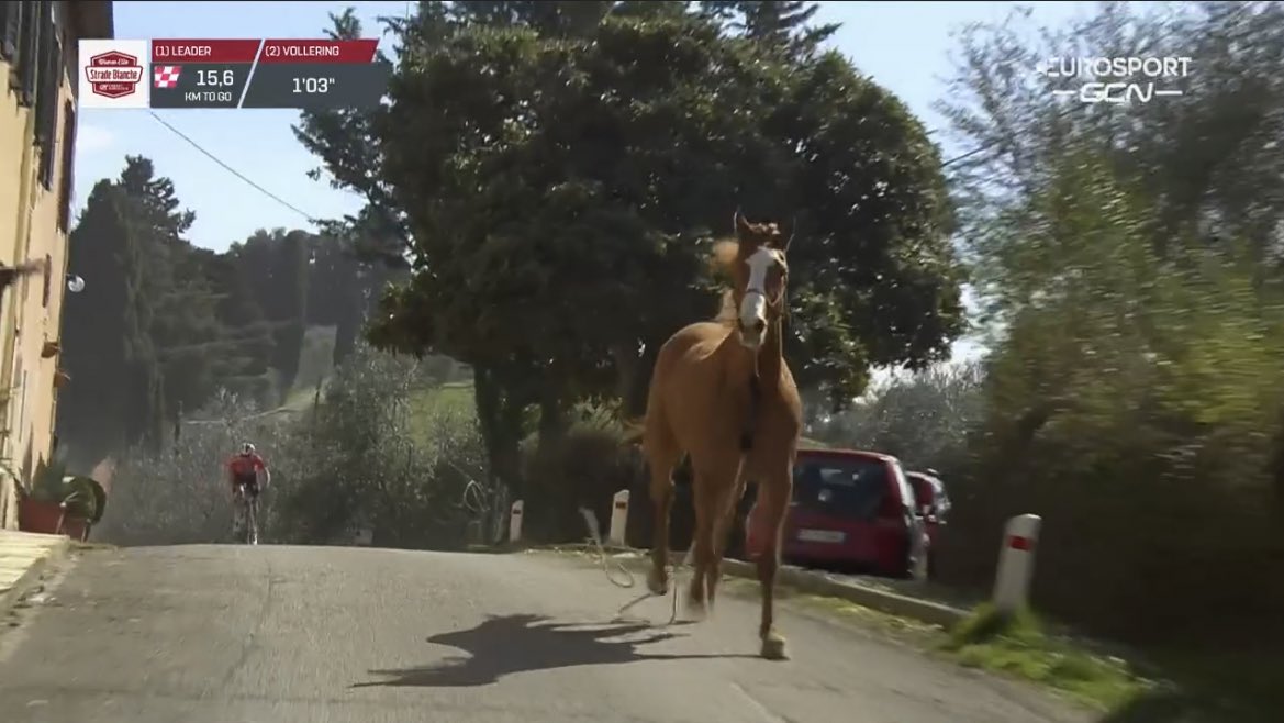 Pár száz méterig egy ló vezette a kerékpárversenyt