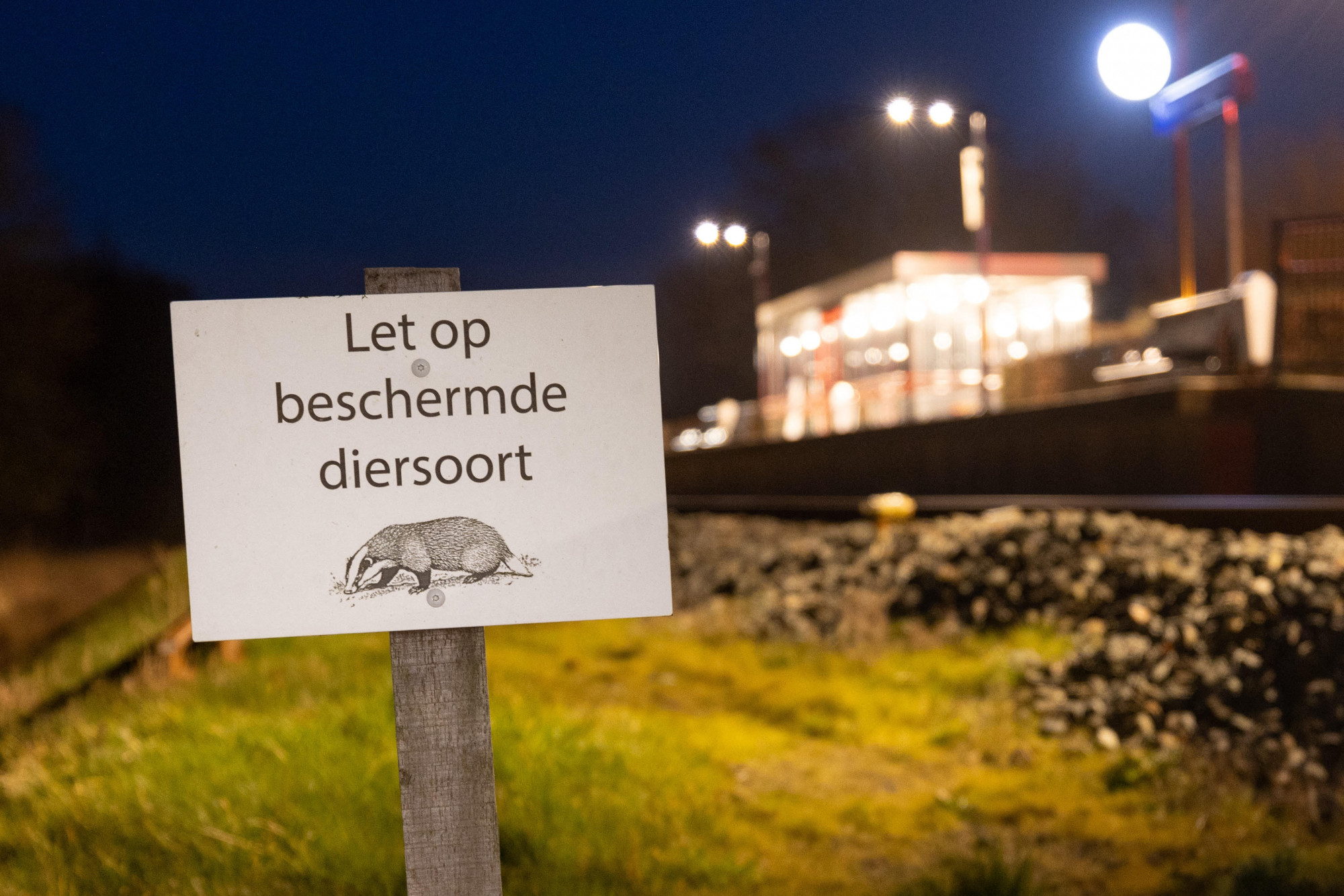 Borzinvázió bénítja meg a holland vasúti közlekedést