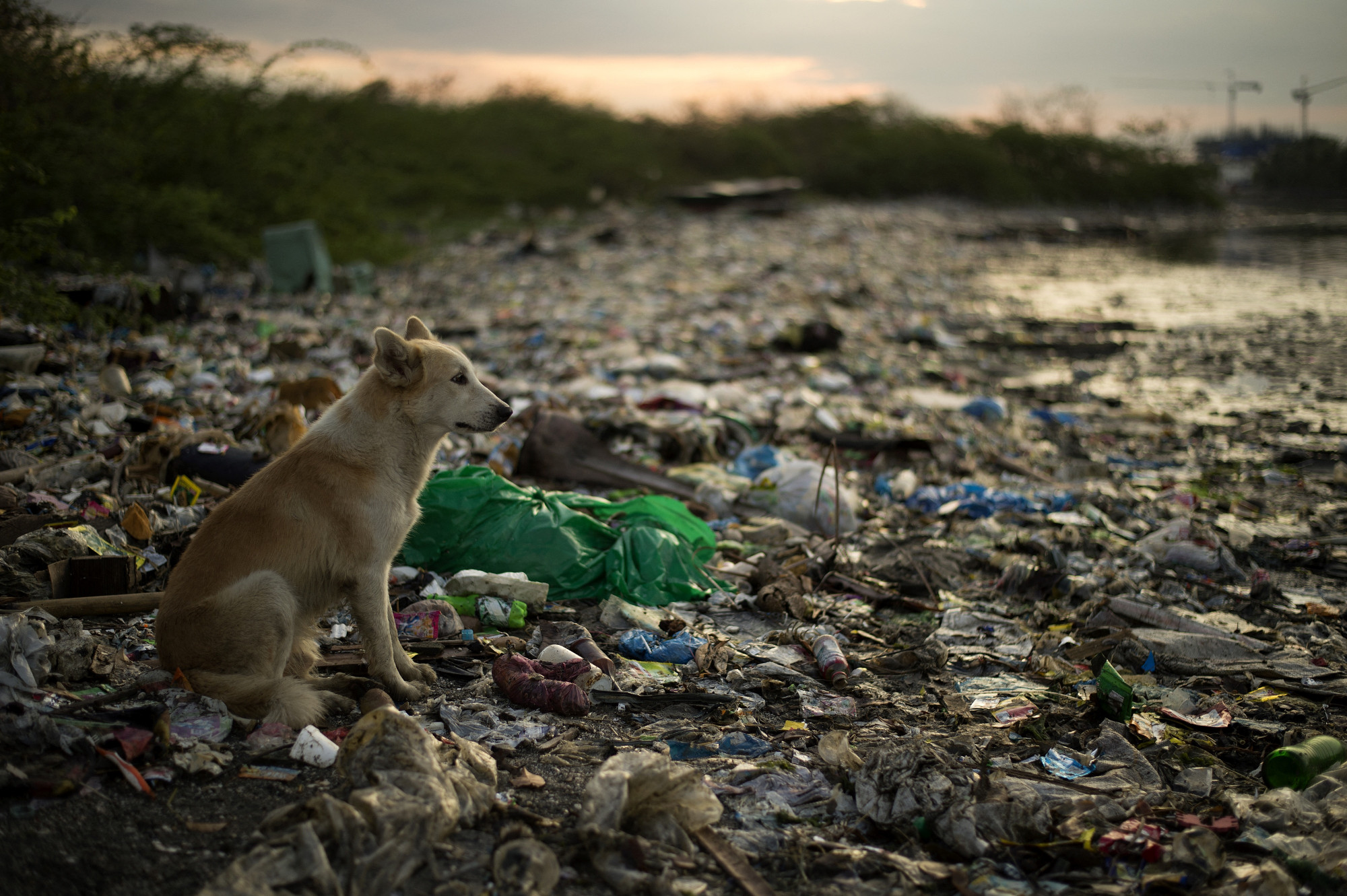 Műanyagszeméttel összenőtt kövekre bukkantak egy kínai patak partján