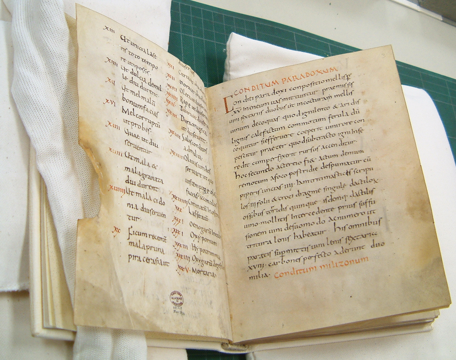 Az Apicius nevű szerzőnek tulajdonított mű, a De re culinaria vagy De re coquinaria kézirata i. sz. 900-ból