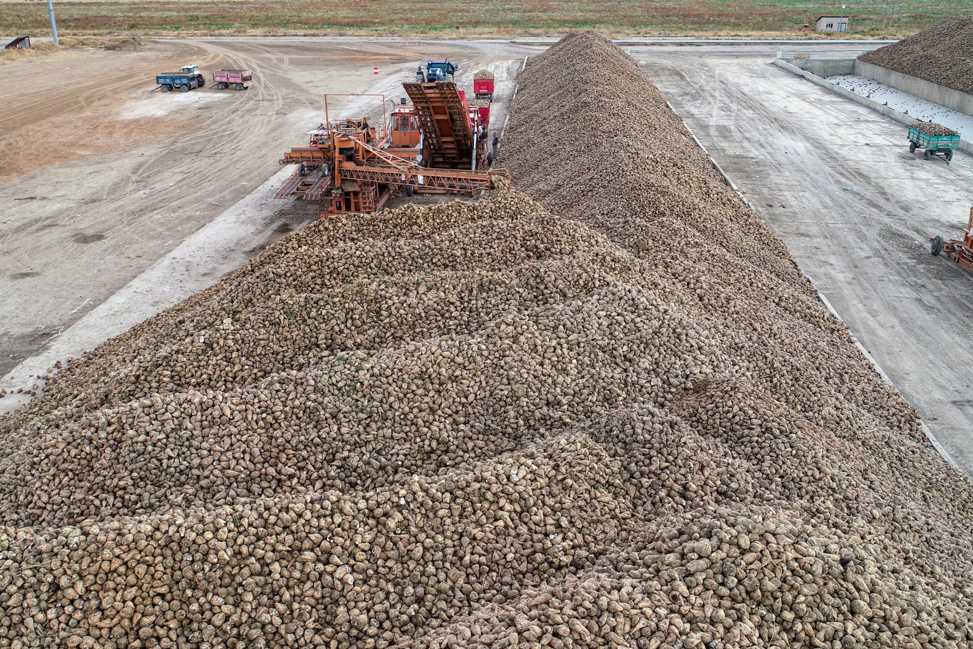 Hegyekben áll a betakarított cukorcékla Törökországban 2021-ben
