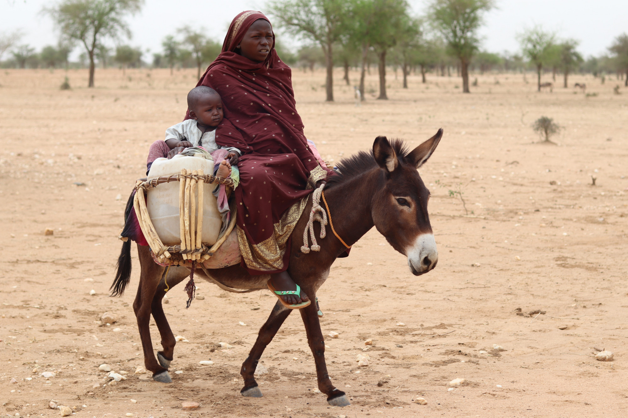Menekülők a Szudán és Csád határán