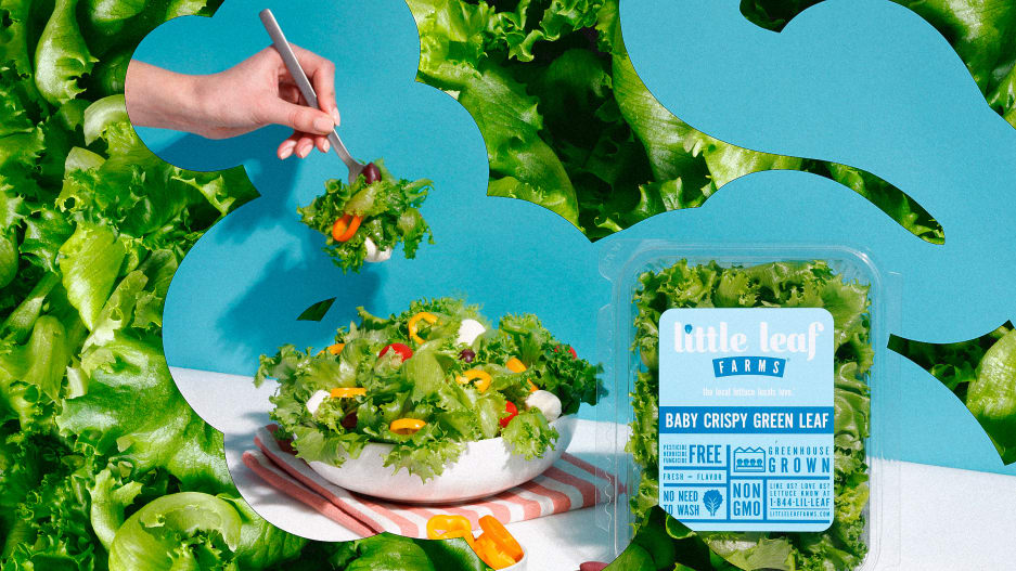 Egy amerikai cég le akarja védetni a kunkori salátalevél formáját