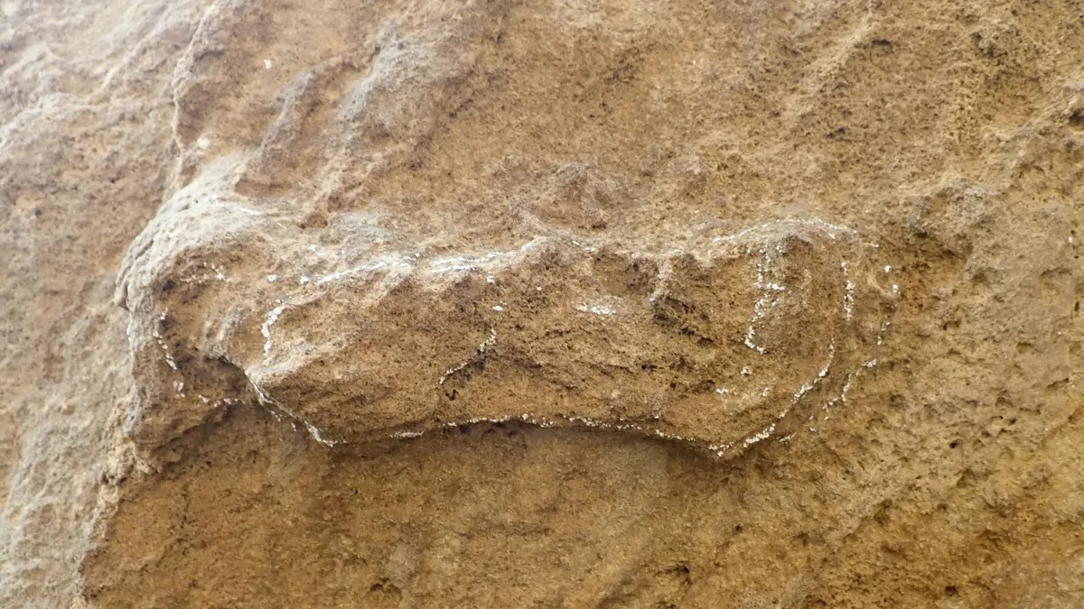 A 153 ezer éves dél-afrikai lábnyom