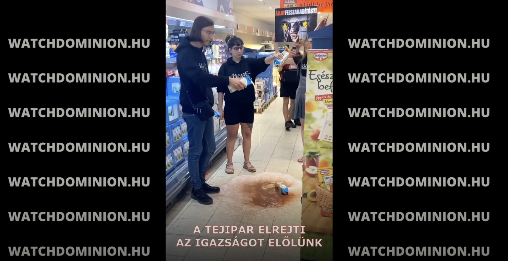Magyar vegán aktivisták tejjel locsolták fel egy Lidl padlóját a tej világnapján