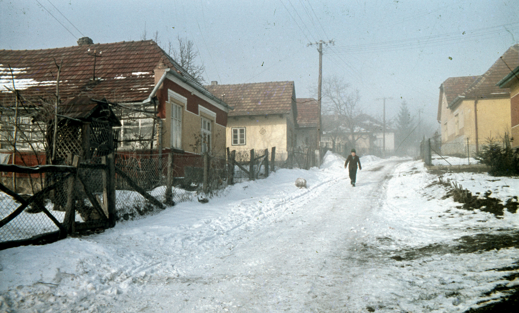 A Petőfi utca Pilisszentlászlón 1967-ben.