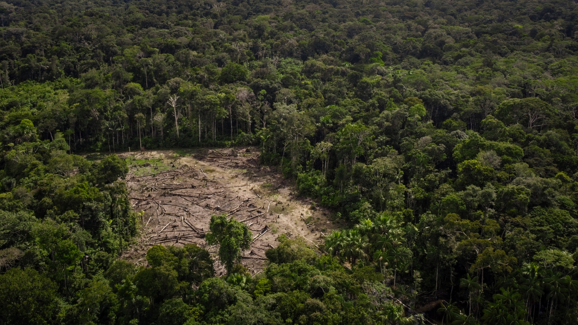 Erdőirtás az Amazonas-medencében