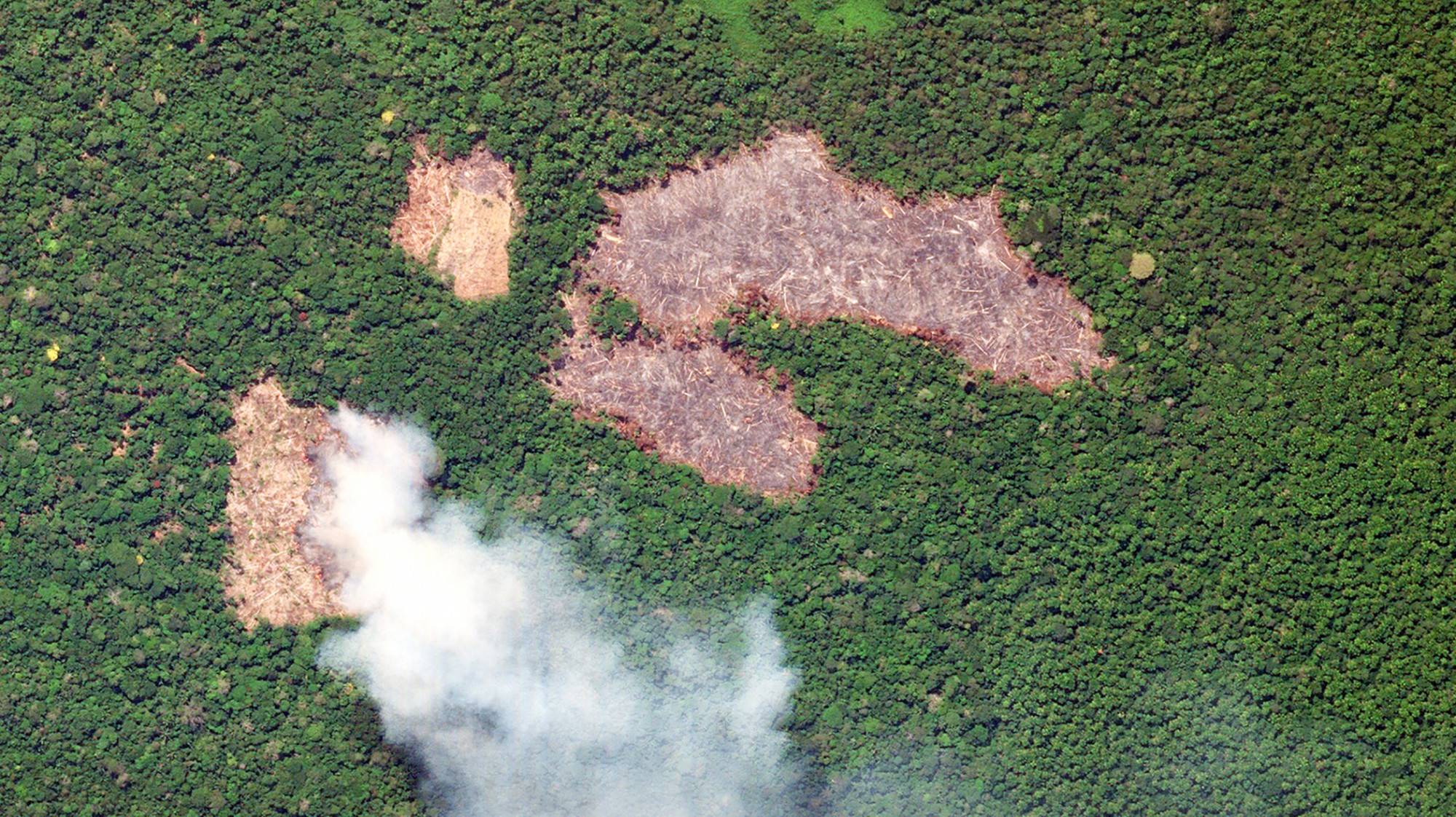 Harmadával kevesebb erdőt pusztítottak el Amazóniában, mint tavaly