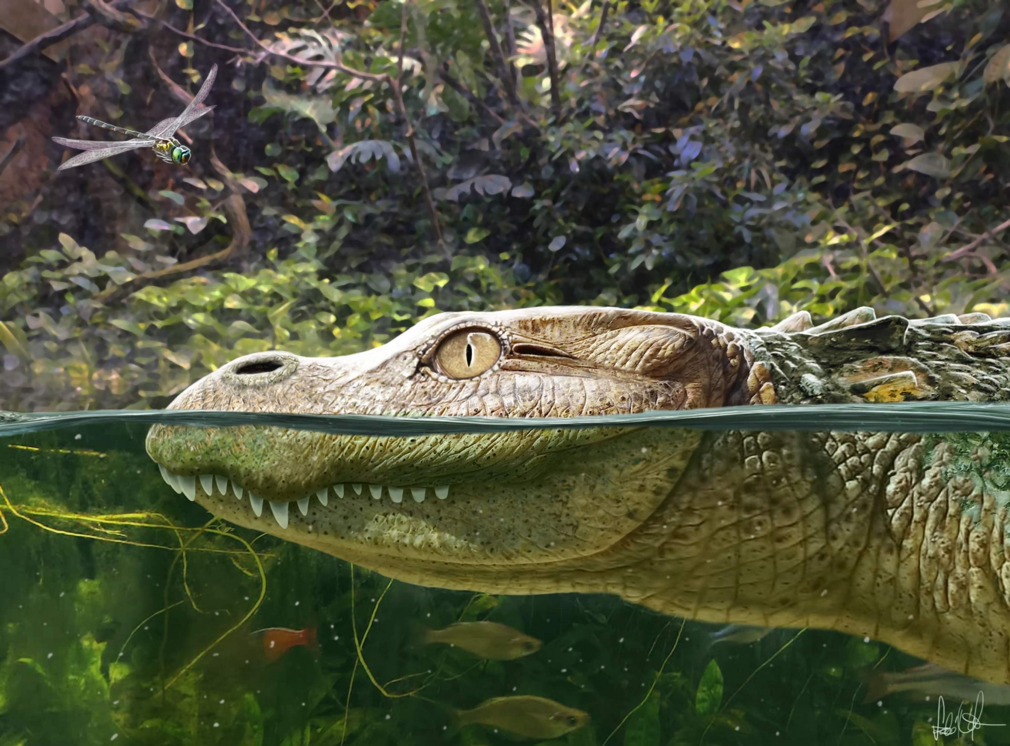 Egy magyar kutató vezetésével felfedezett faj derít fényt az aligátorok evolúciójára