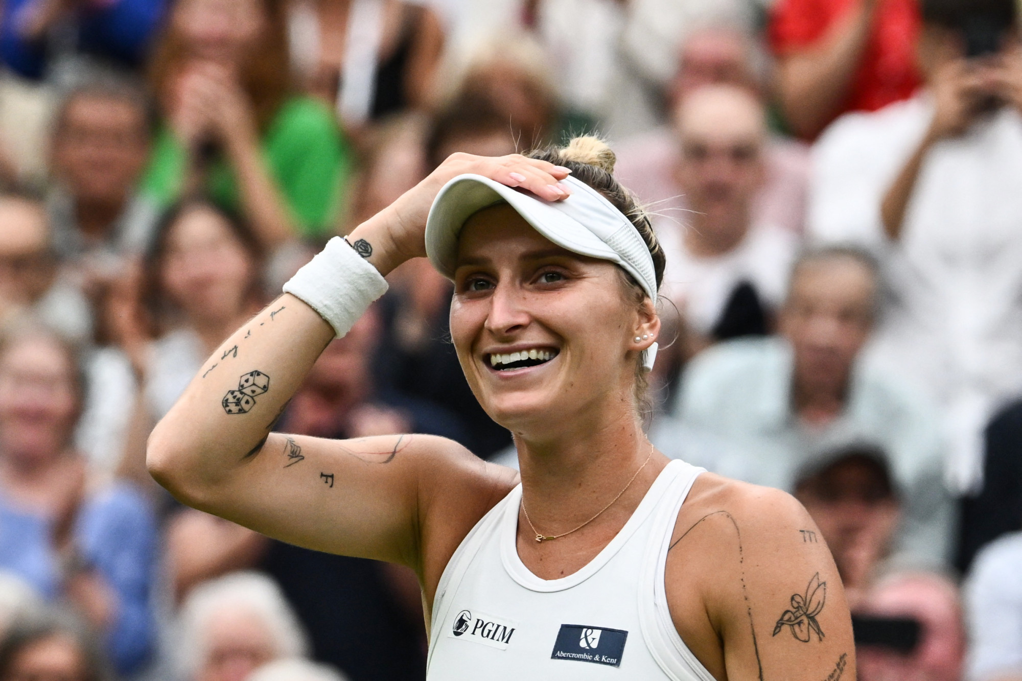 Macskaszittert bérelt a cseh teniszező, hogy kedvence ne maradjon otthon egyedül, miközben ő Wimbledonban döntőzik