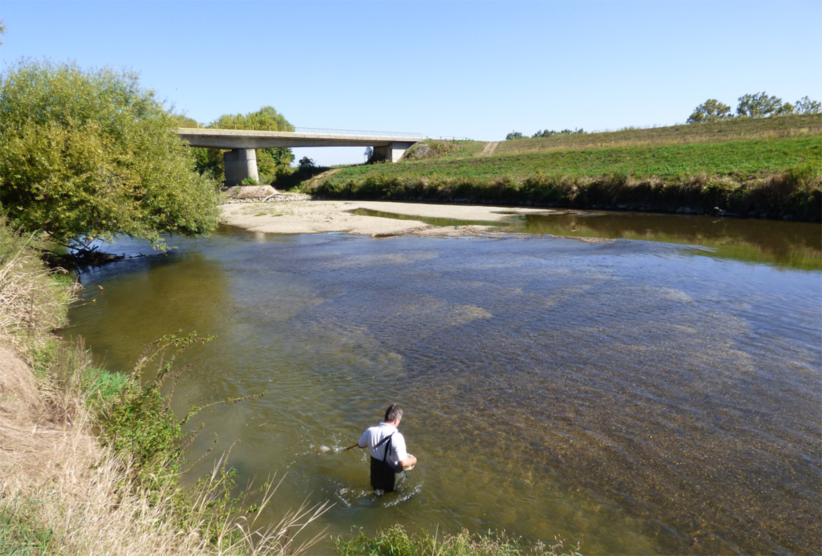 Az ÖK kutatóinak eredményei szerint a nagy folyók kovaalga-közösségeiben is súlyos károkat okoz a tartós csapadékhiány