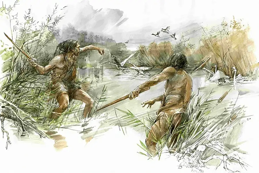 Gyilkos bumerángként használhatták az emberelődök a 300 ezer éves botot