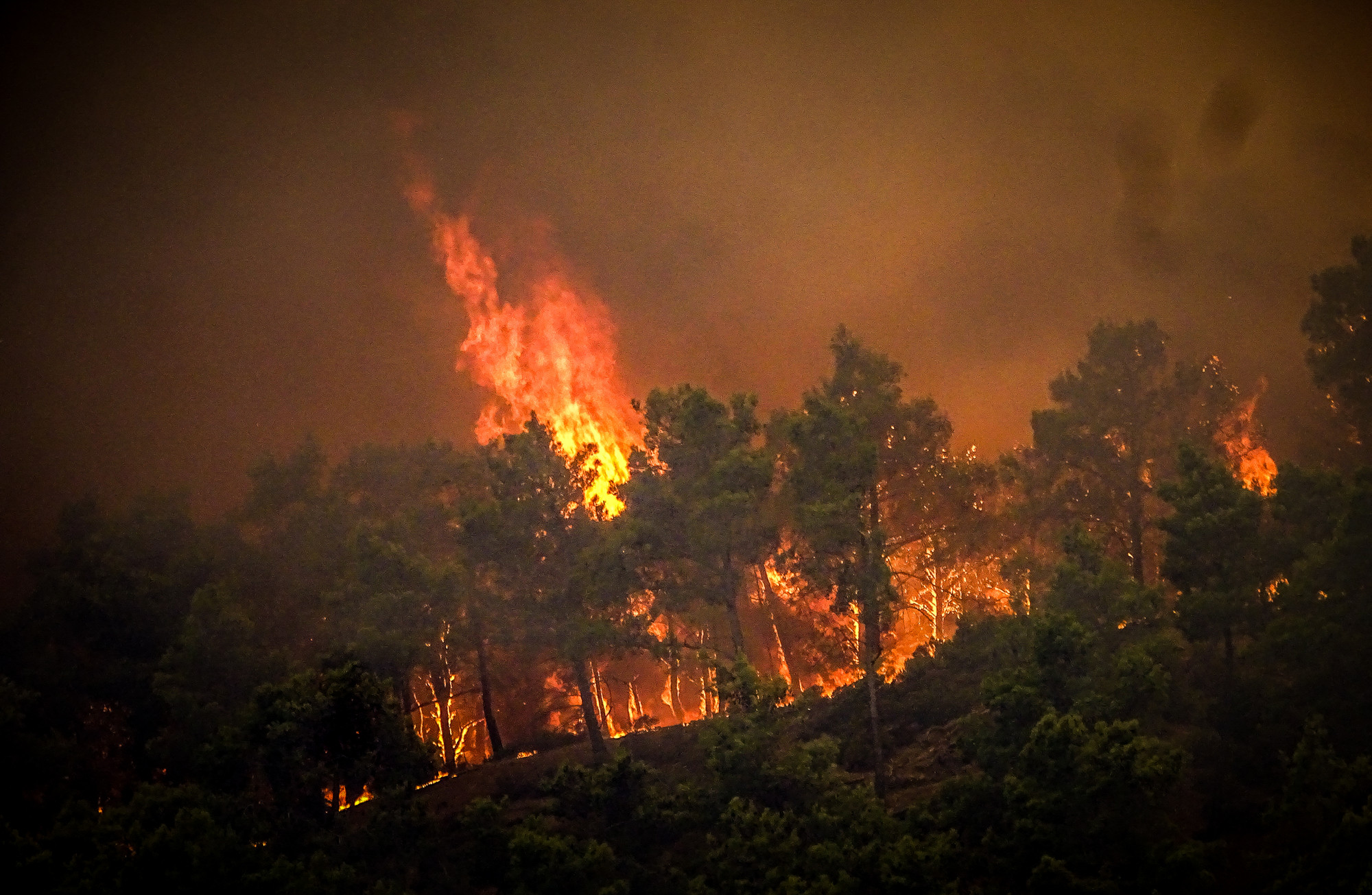 A Görögországban pusztító erdőtüzek közel négy budapestnyi területet perzseltek fel júliusban