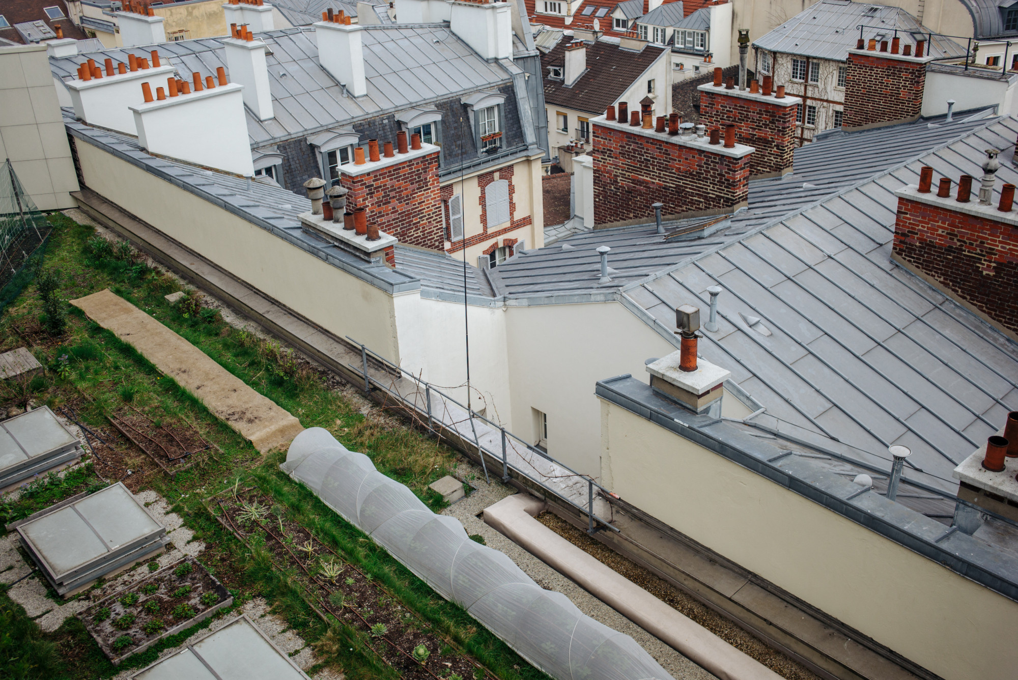 Tetőkert a Bastille Operaház tetején 2023. áprilisában.