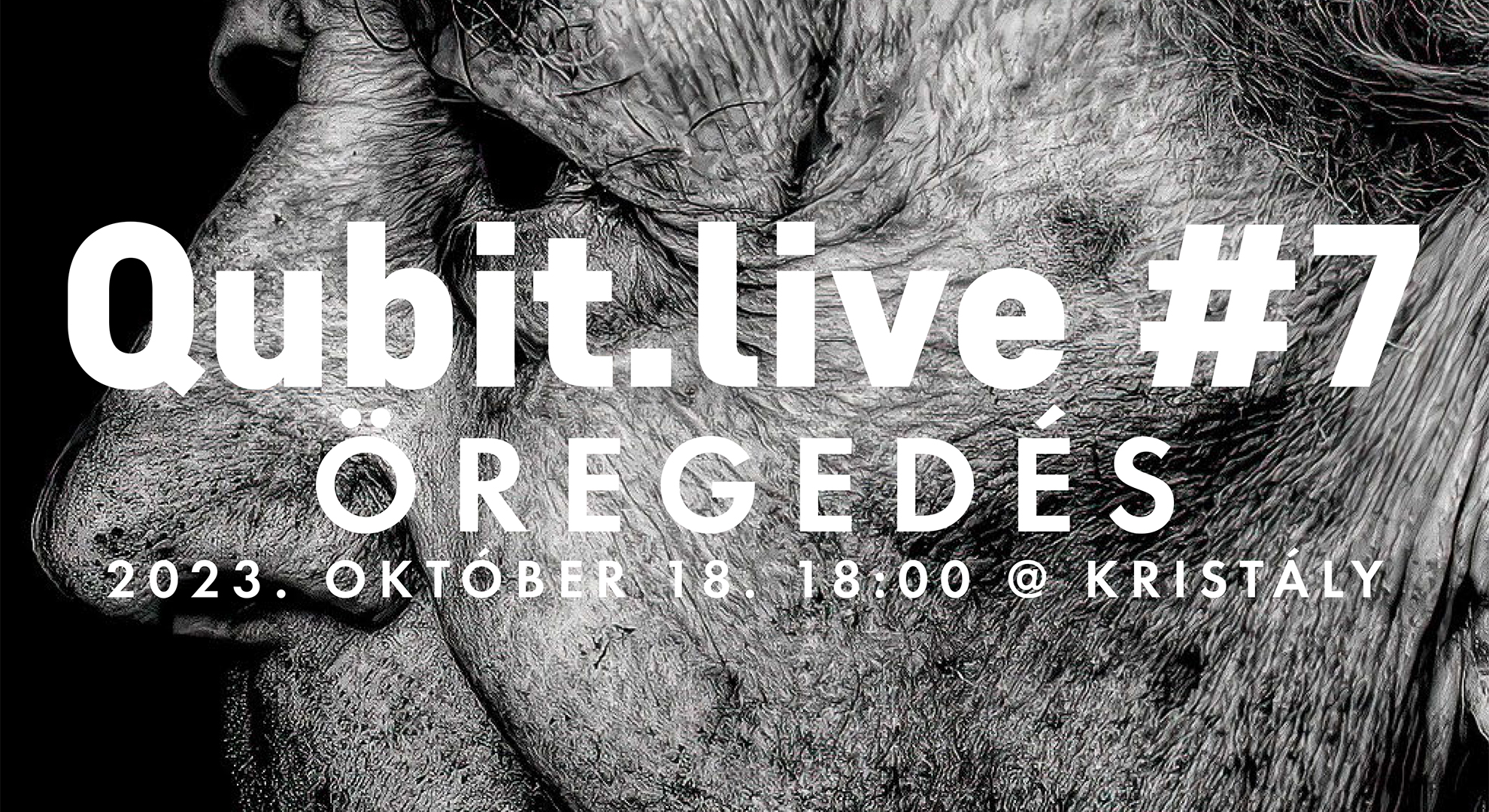 qubit live #7 öregedés