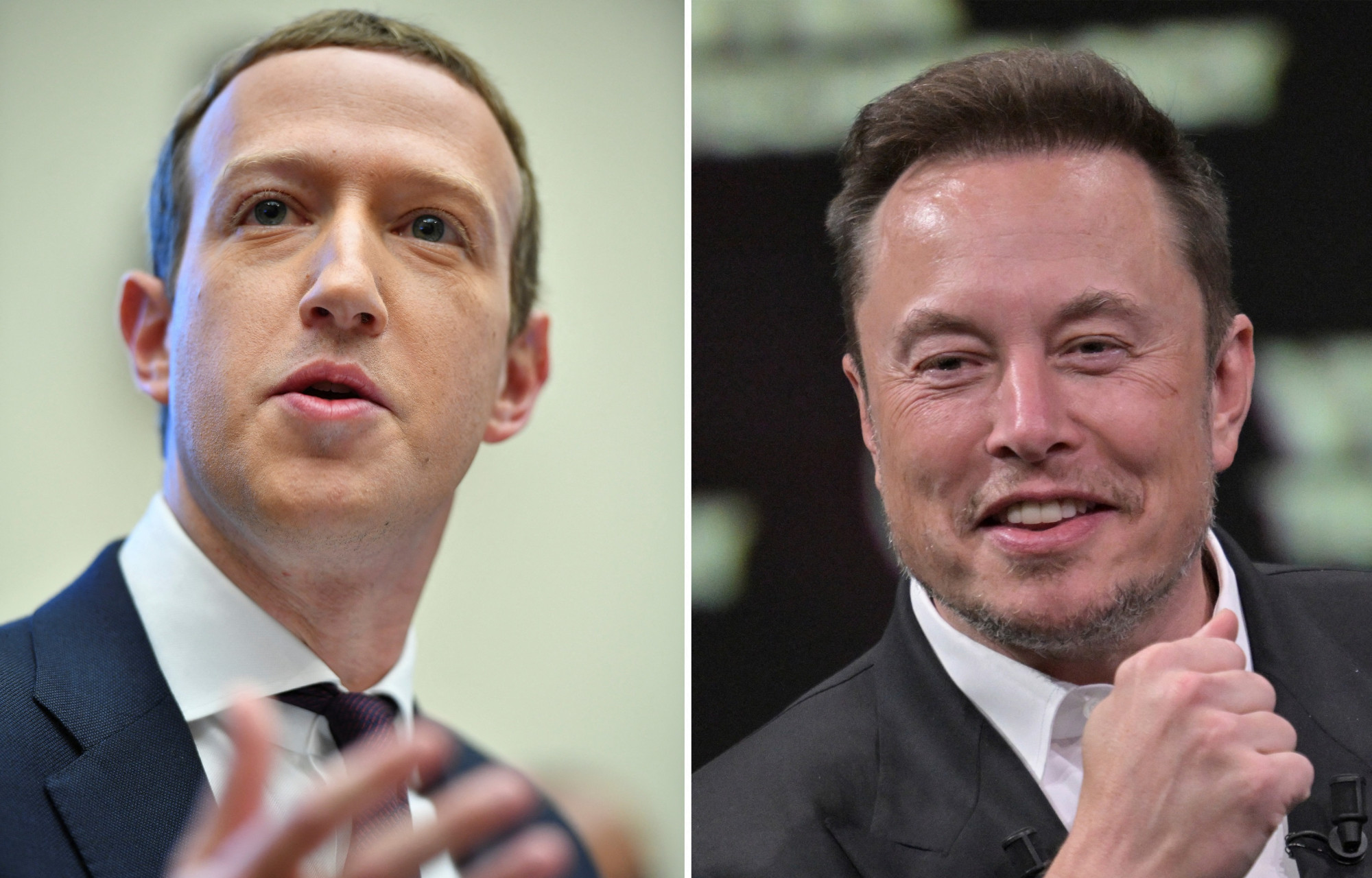 Alakul Elon Musk és Mark Zuckerberg bunyója