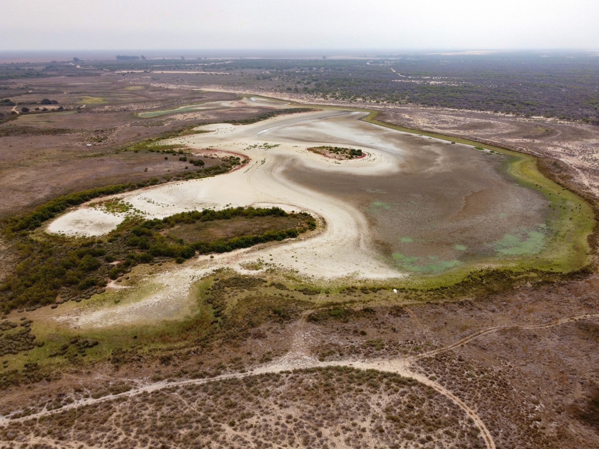 Egy katasztrófa képei - második nyáron is kiszáradt egy spanyol nemzeti park legnagyobb lagúnája