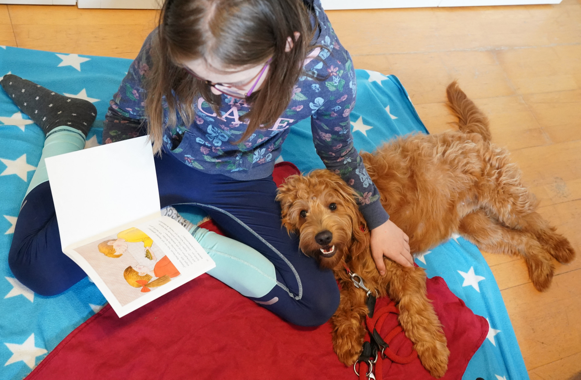 Az iskolás gyerekek jobban szeretnek kutyáknak felolvasni, mint nyugdíjasoknak
