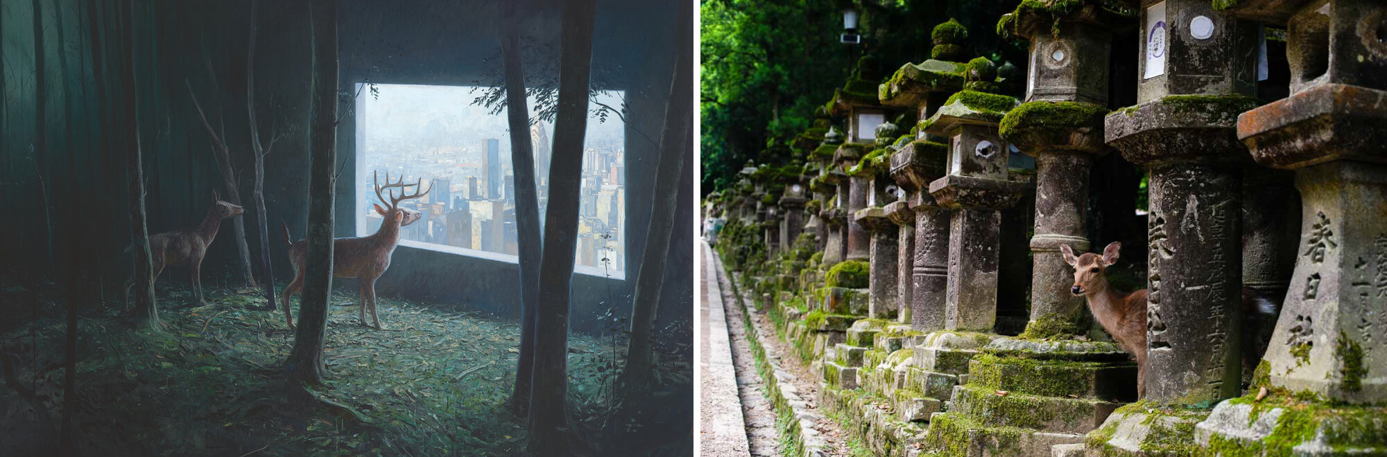 Shaun Tan Tales from the Inner City című könyve egy furcsa utazásra szólít, amelyben az állatok szemszögéből tekinthetünk városainkra és benne magunkra, emberekre; mindeközben a japán Nara városában valóban az utcán sétálnak a szarvasok.