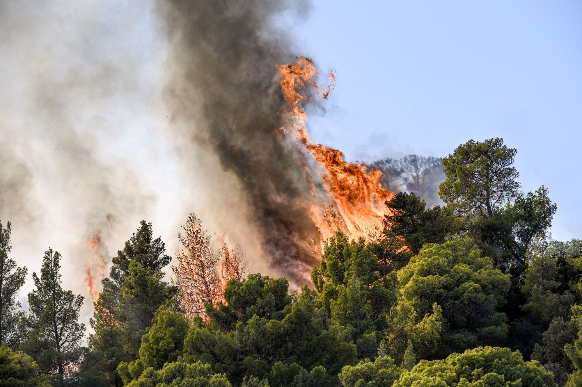Észak-görögországi erdőtűz: 18 holttestet találtak
