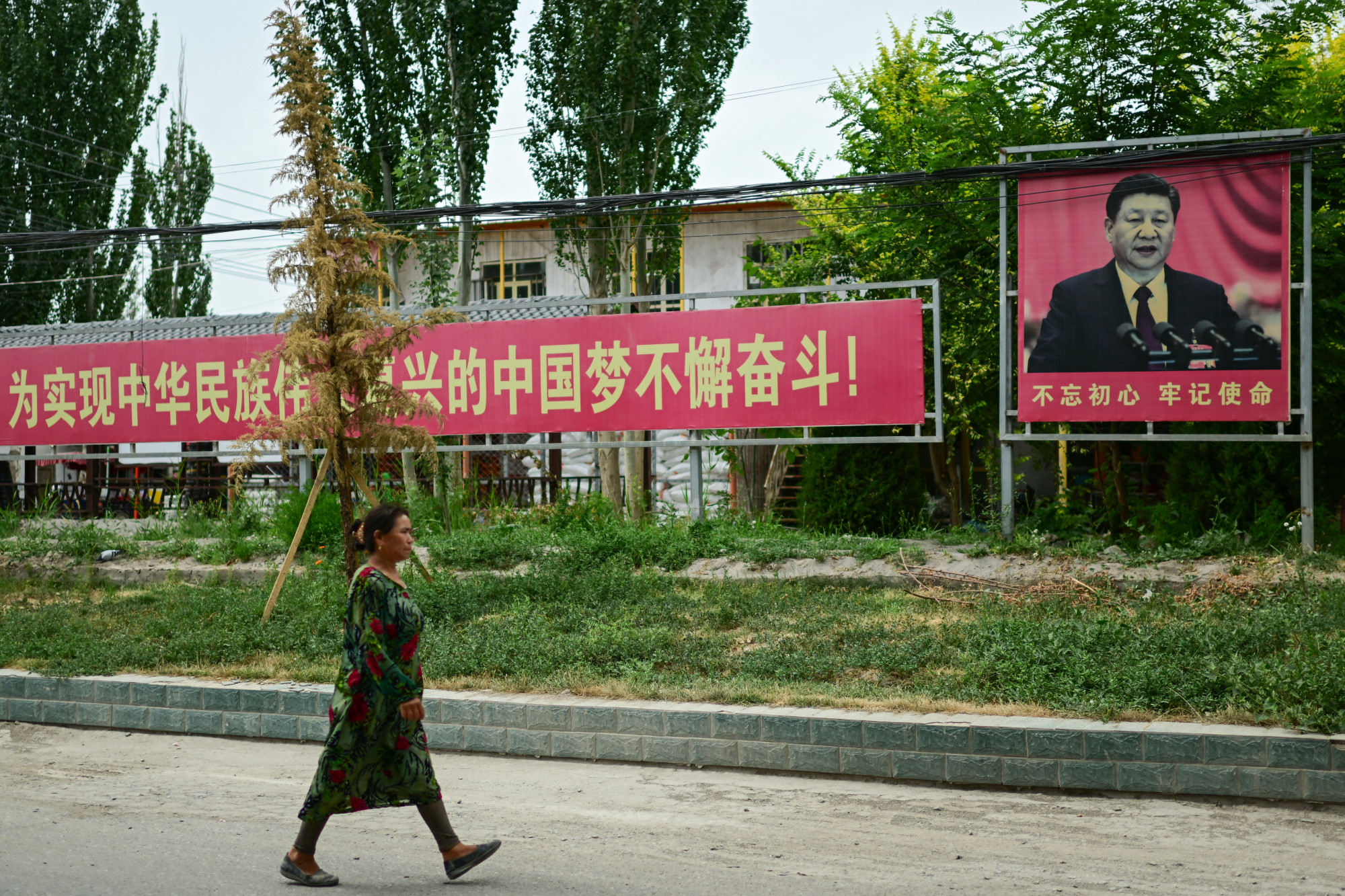 Kínai asszony Hszi Csin-ping portréja és a szüntelen harcra buzdító propagandajelszó előtt Hszincsiangban.