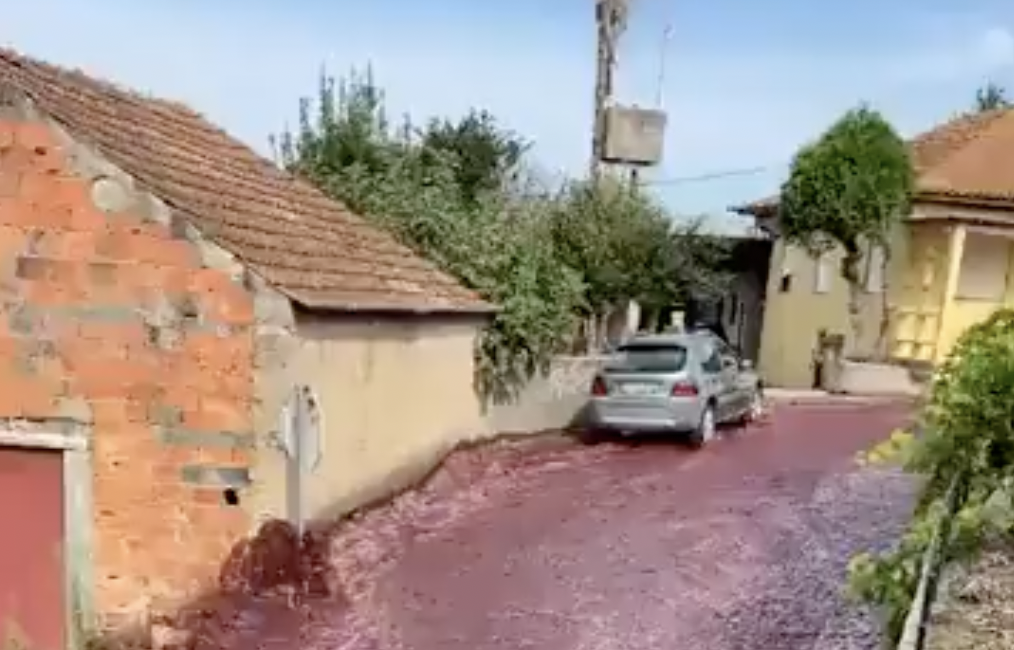 Kétmillió liter vörösbor árasztotta el egy portugál város utcáit