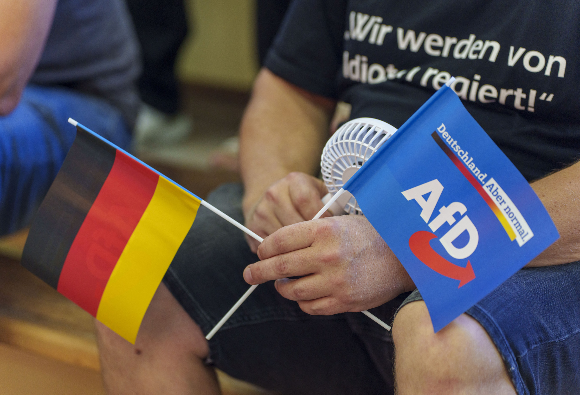 Bíróság elé állítják a német AfD egyik tartományi vezetőjét, mert önkényuralmi jelképet használt