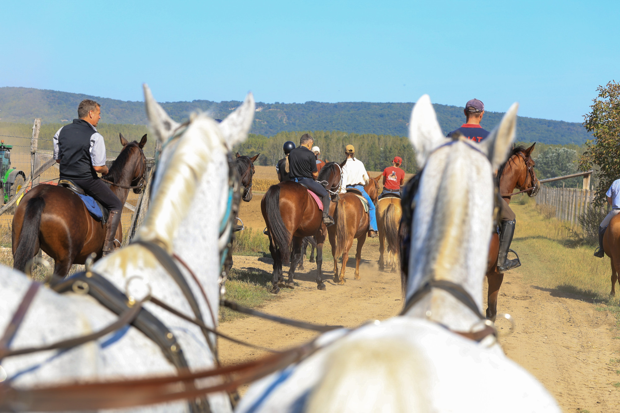 A bemutató lovastúra indulása 2023. szeptember 28-án a Szentendrei-szigeten