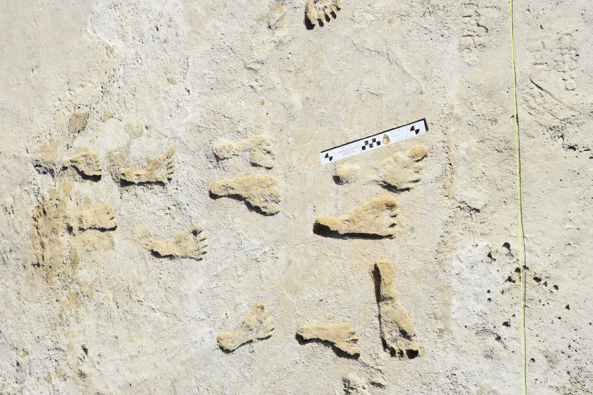 Az új-mexikói White Sands Nemzeti Parkban 2021-ben felfedezett ősi lábnyomok