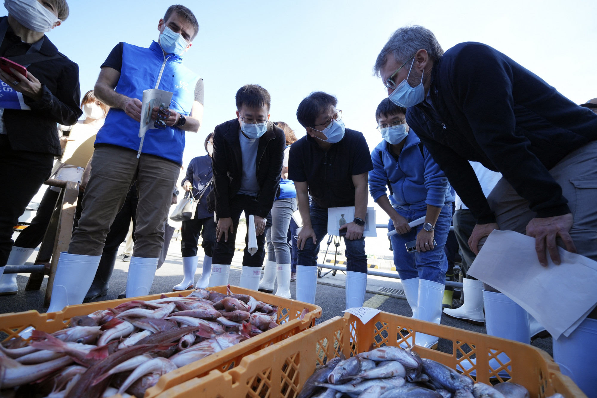 Ellenőrzik a fukusimai halakat