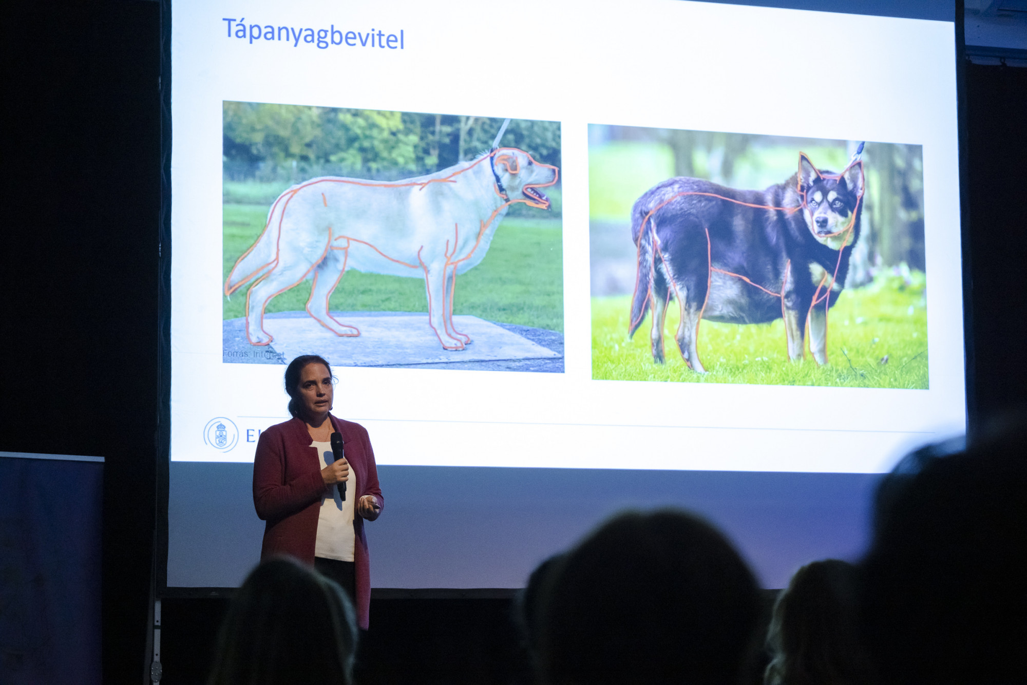 Kubinyi Enikő UNESCO-díjas etológus, a kutyák viselkedésének és kogníciójának nemzetközi hírű kutatója a kutyák elhízásának veszélyeiről is szólt pár szót.