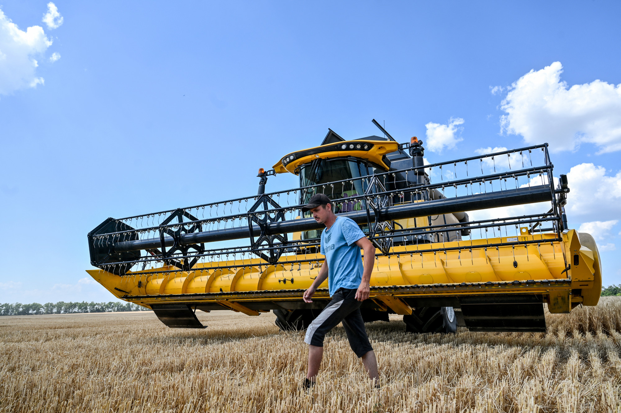 Válságban a harmadik világot ellátó ukrán gabonatermelés, és nem igazán látszik a kiút