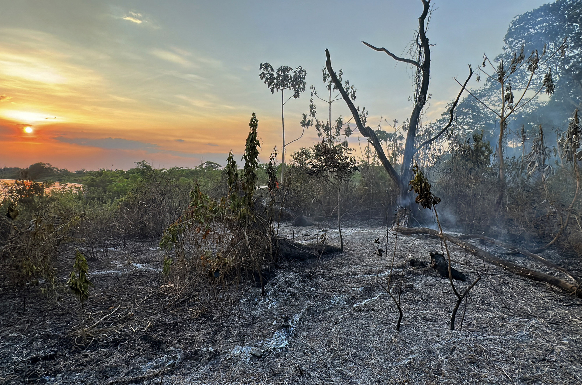 Rekordmennyiségű tűzvész pusztít a Pantanalban