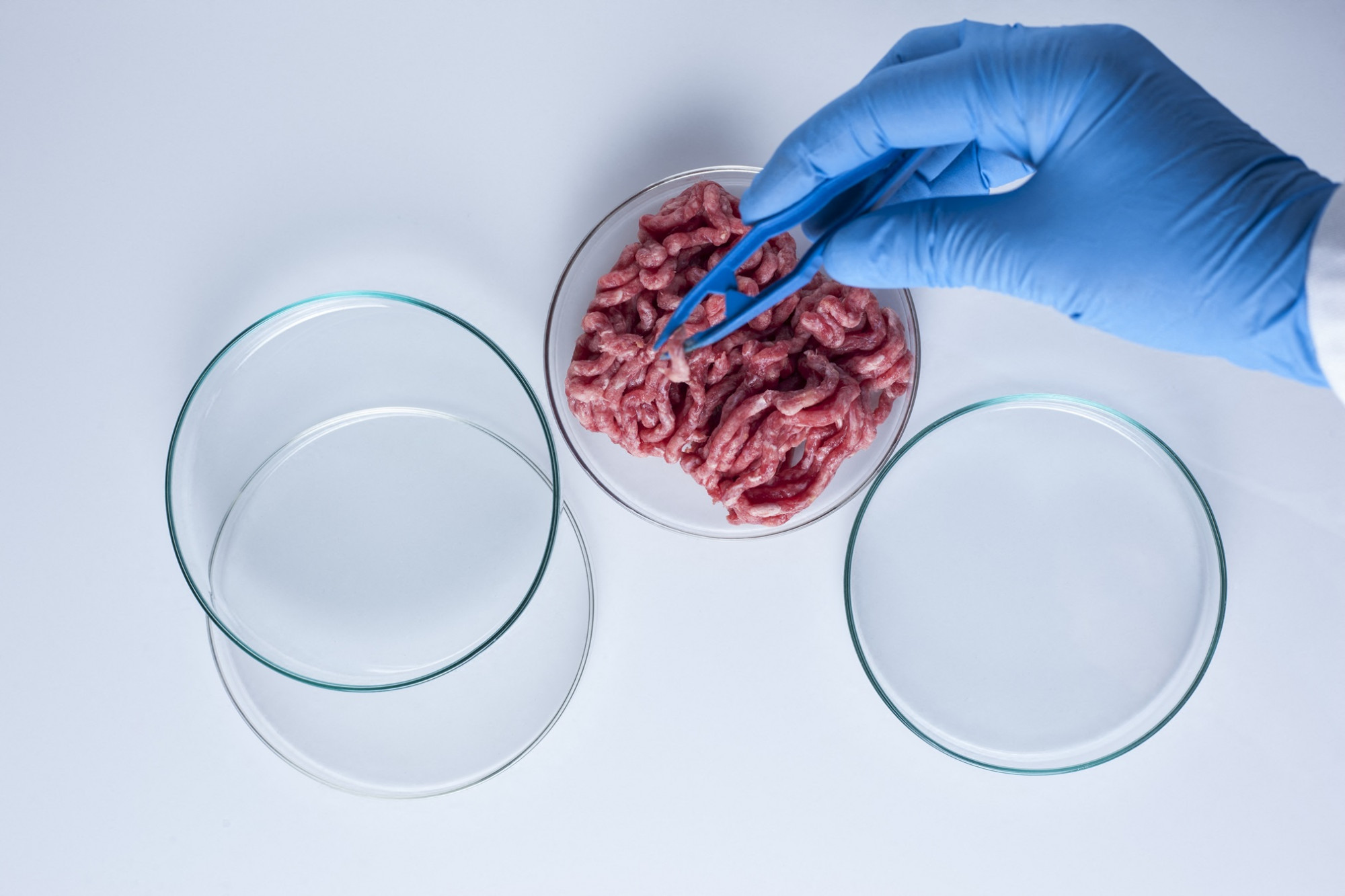Az olasz parlament betiltotta a mesterséges húst