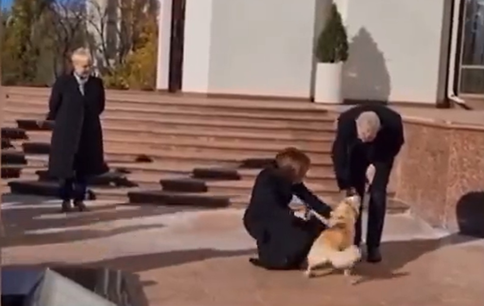 A moldovai elnök háromlábú kutyája megharapta az osztrák elnököt