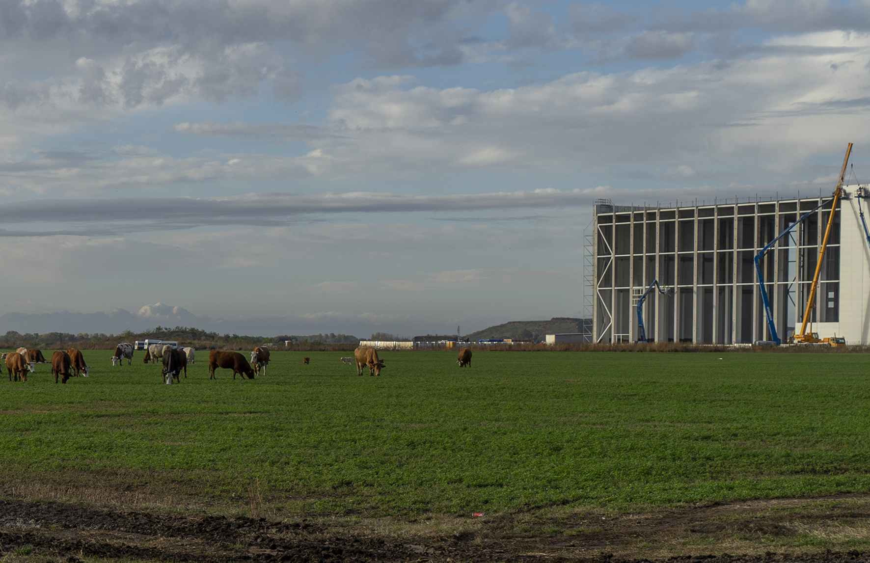 Képgaléria: Gigantikus akkumulátor-komplexum épül Debrecen mellett, az árnyékában tehenek legelnek