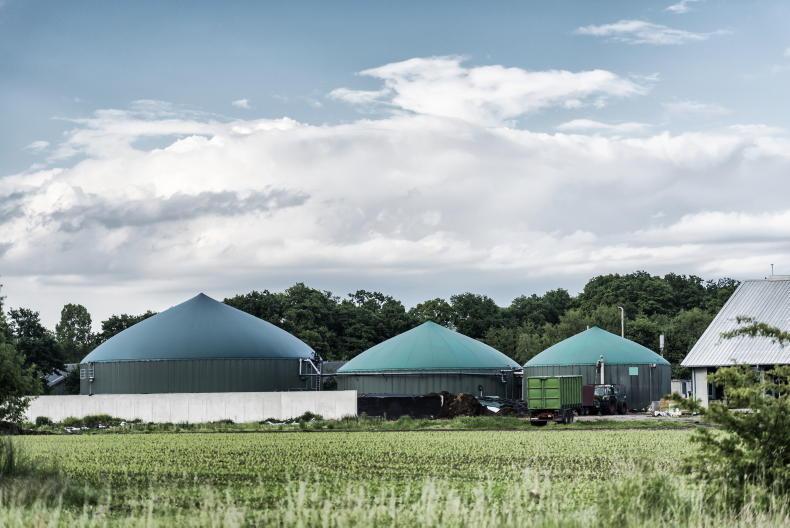 Az állattenyésztés klímagyilkos metánjával váltaná ki az importgázt Észak-Írország