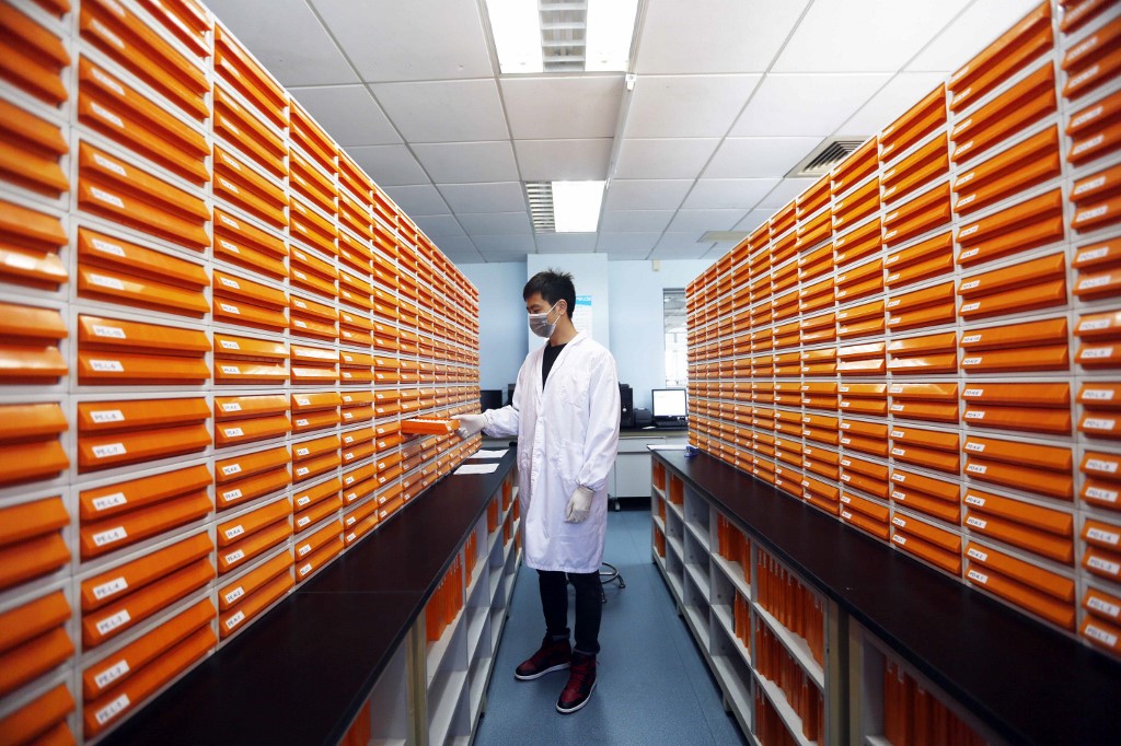 Kínai kutató a fél millió tumorszövetet tároló sanghaji Zhangjiang biobankban