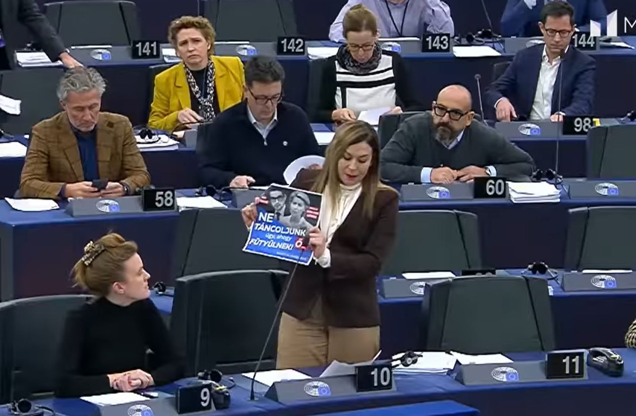 Cseh Katalin bemutatta a nemzeti konzultációs plakátokat az EP-ben