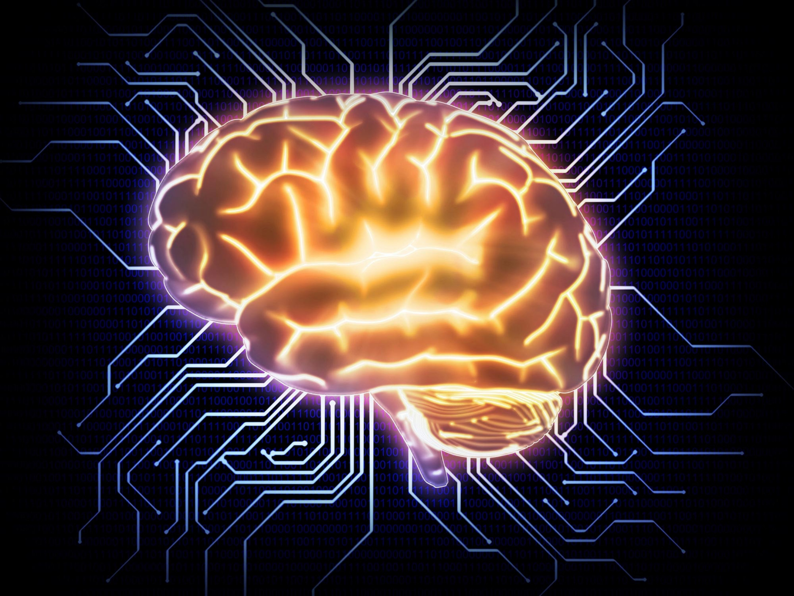 Мозг уникален. Электронный мозг. Мозг компьютера. Искусственный интеллект. Искусственный мозг.