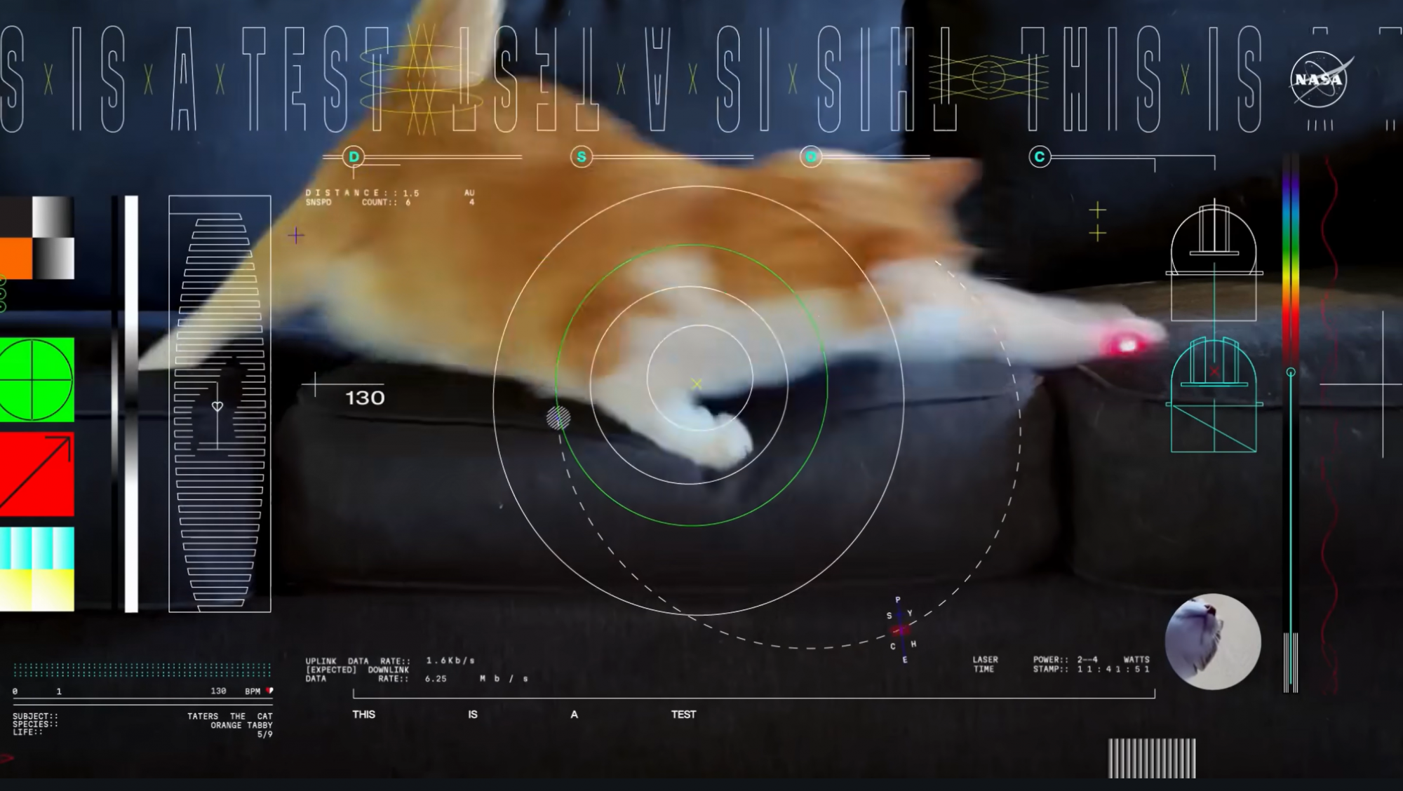 A NASA az űr mélyébe lőtt egy lézert kergető macskás videót, hogy egy hónap múlva letölthessék