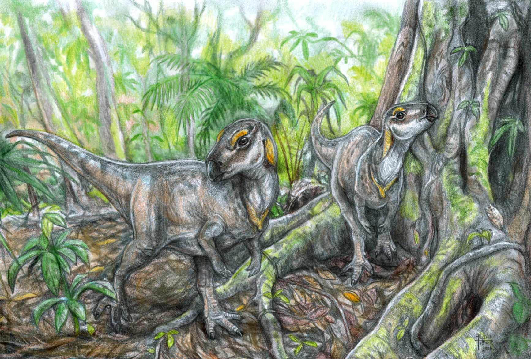 Jó állapotban fennmaradt dinoszauruszcsontokra bukkantak Erdélyben