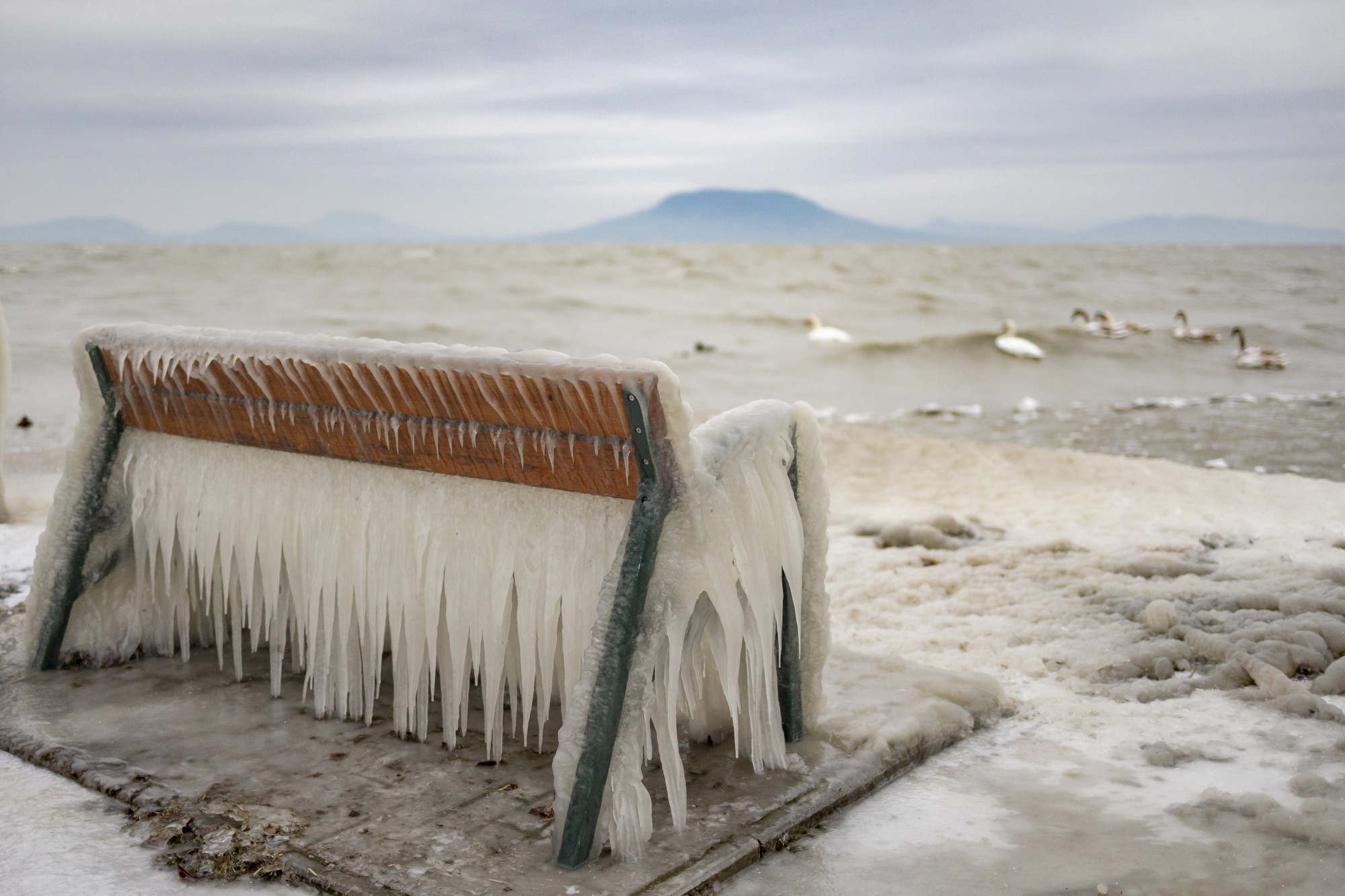 Jég borít egy padot a Balaton partján, a balatonfenyvesi szabadstrandon 2024. január 9-én. Azért ennyire hideg nem lesz.