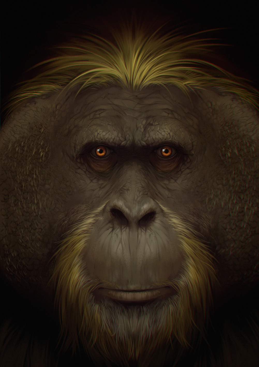 Az orangutánokkal rokon G. blacki művészi rekonstrukciója