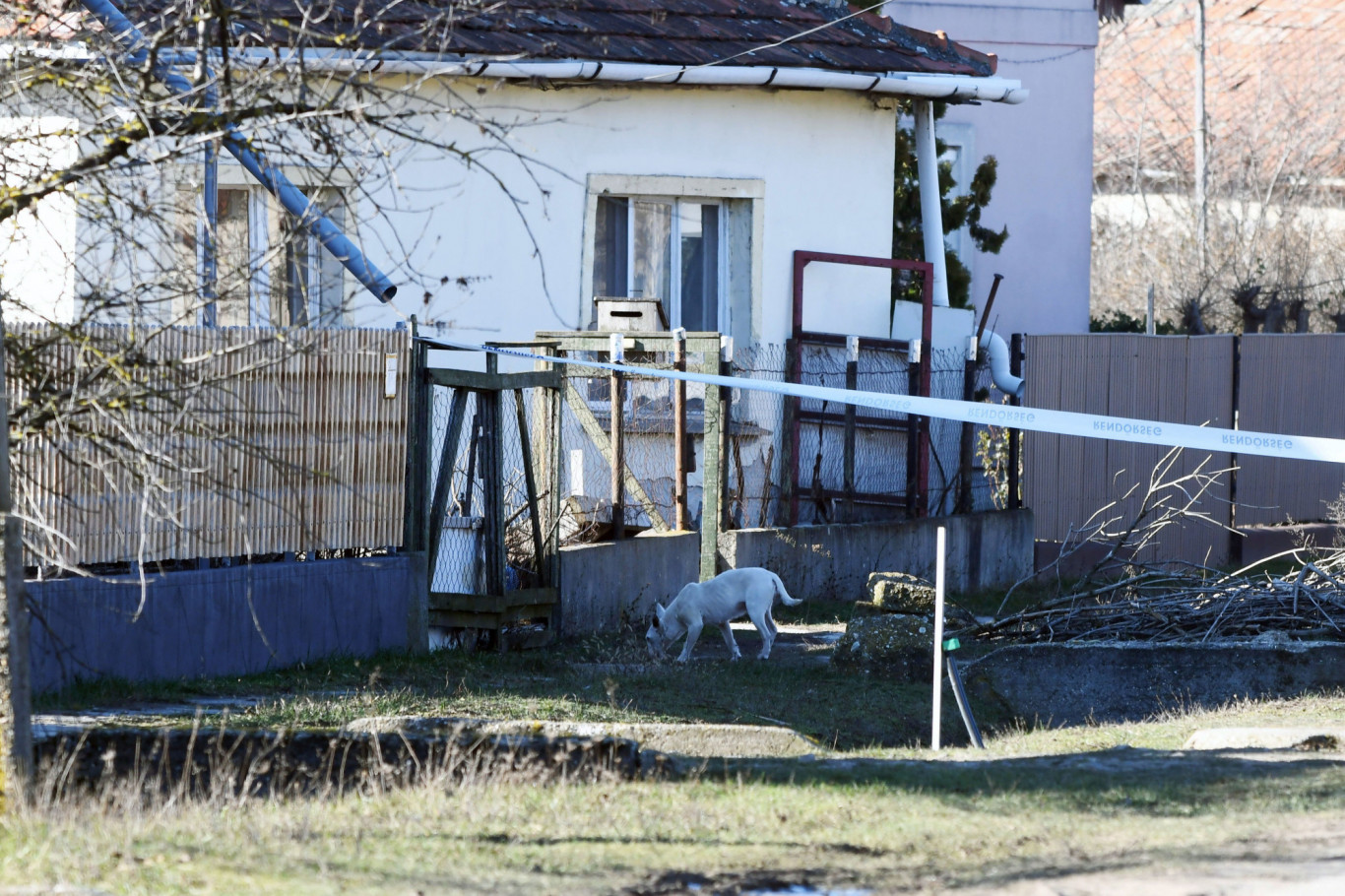 Elfogták a tószegi kettős gyilkosság gyanúsítottját