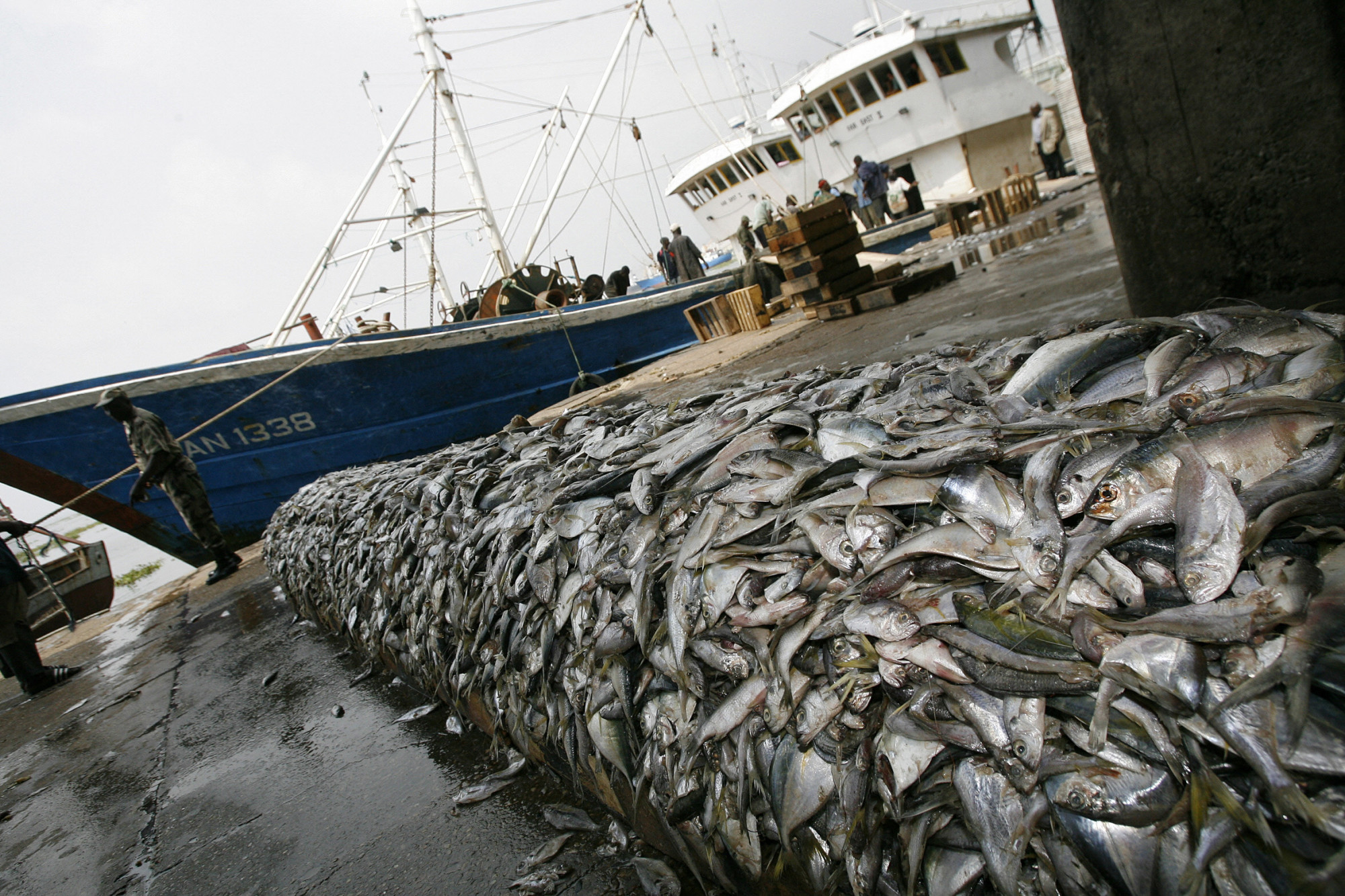 Irtózatos mennyiségű szén-dioxidot juttat a légkörbe a vonóhálós halászat