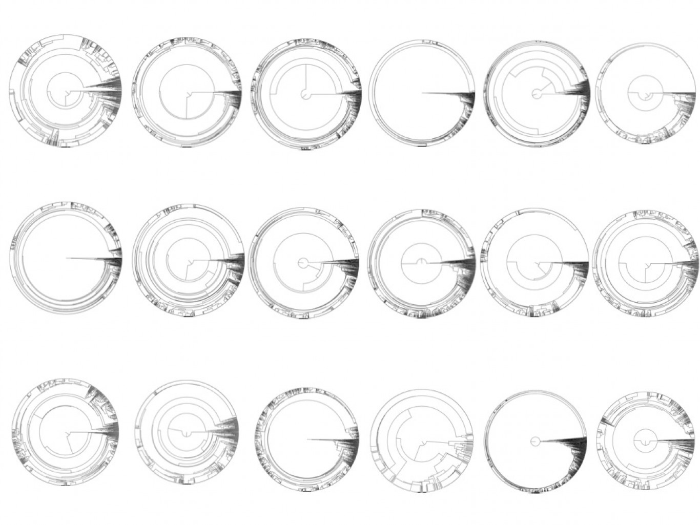 The cell tree rings created under the leadership of a Hungarian