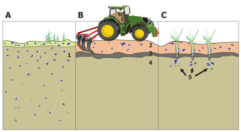 A gépi művelés hatása a talajok vízháztartására