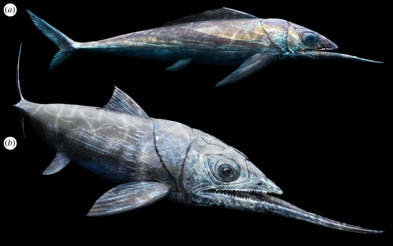 Egy 365 millió éve élt „űrlényhal” az alulharapás világrekordere