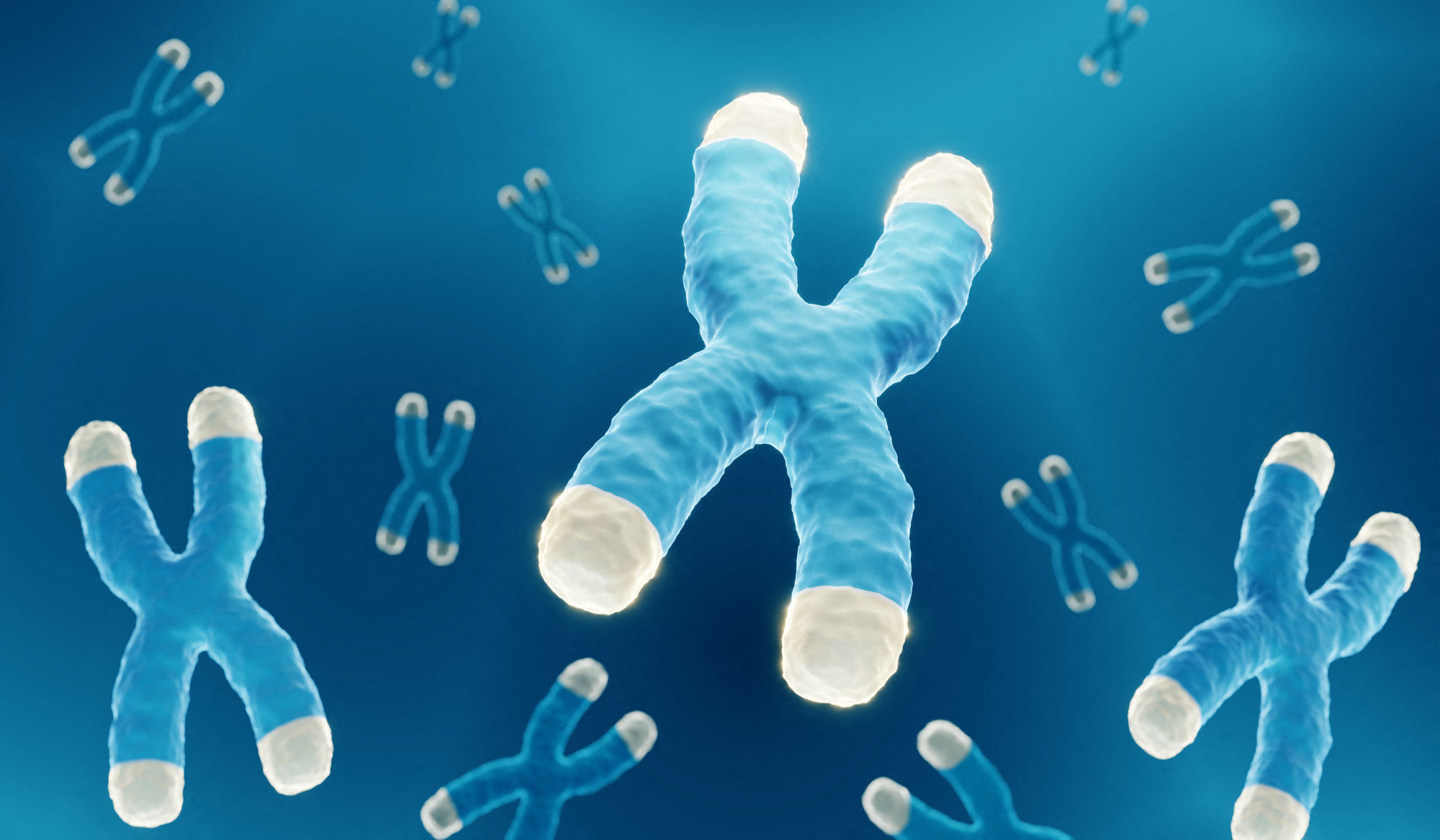 Az X-kromoszóma tudományos illusztrációja